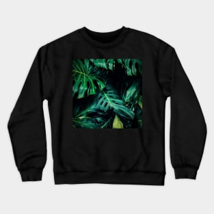 Big monstera leaves in a botanical garden Crewneck Sweatshirt